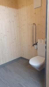 埃尔姆Skihütte Obererbs的木墙浴室设有卫生间