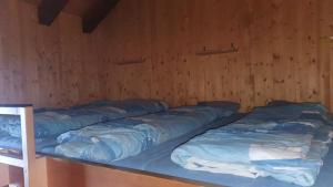 埃尔姆Skihütte Obererbs的木墙客房的两张双层床