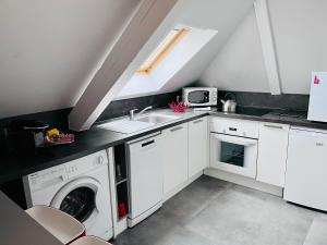 斯特拉斯堡Le Balcon fleuri centre Robertsau tram Jardiniers的厨房配有洗衣机和水槽