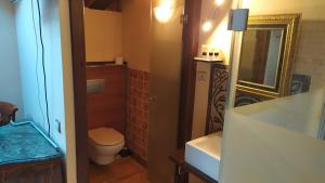 佩德拉希塔Hotel Rural Cayetana的一间带卫生间、水槽和镜子的浴室