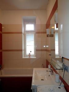 布拉迪斯拉发Superior apartment的一间带水槽和窗户的浴室