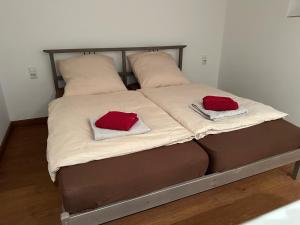 杜塞尔多夫Doppelbett Suite, nähe Messe的床上有两个红色枕头的床