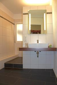 苏尔茨堡Landgasthof Rebstock的一间带水槽和镜子的浴室