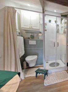 吉维尼Le petit nid d'aigle - Giverny的带淋浴和卫生间的浴室。