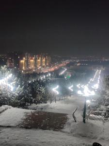 奇姆肯特ЖК Наурыз парк的夜晚有雪覆盖的城市,有路灯