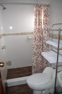 卡哈马卡Casa Pablo的一间带卫生间和淋浴的浴室