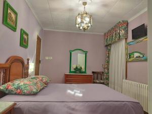 奥伦塞Casa Da Vieira的一间卧室配有一张床、镜子和吊灯
