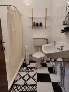沃特福德Tai Chi House, T Dempsey's house的浴室配有卫生间、盥洗盆和淋浴。