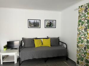 辛特拉Cozy Green Apartment的一间卧室配有一张带黄色枕头的床和一张书桌