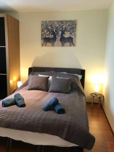 布达佩斯Aréna Apartman的一间卧室配有一张大床和两个蓝色枕头