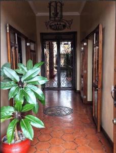 昆卡Casa Hibiscus Boutique Hotel的门前有植物的走廊