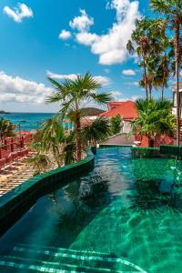 夏洛特阿马利亚The Pink Palm Hotel - Adults Only的一座棕榈树和海洋游泳池