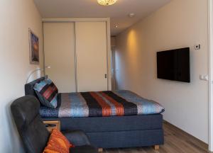 佐特兰德De Sprink - Luxe Kamer - Strand & Zee的一间卧室配有一张床、一张沙发和一台电视。