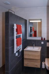 佐特兰德De Sprink - Luxe Kamer - Strand & Zee的一间带水槽和镜子的浴室