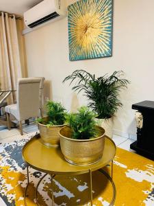 理查兹湾Isibani luxury apartment的客厅桌子上两株盆栽植物