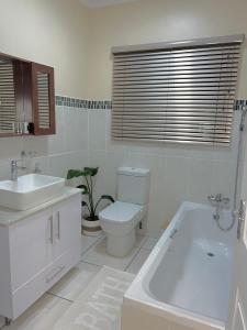 理查兹湾Isibani luxury apartment的浴室配有卫生间、盥洗盆和浴缸。