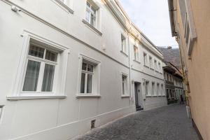 布拉索夫Richter Residence的白色建筑中一条带窗户的小巷