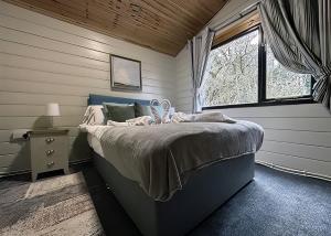 埃德温斯托Sherwood Castle Holiday Forest的一间卧室配有一张床,房间设有窗户