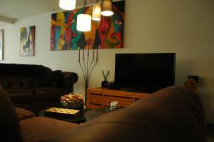 克勒伊斯贝尔亨Twinkeling Lights的带沙发和电视的客厅