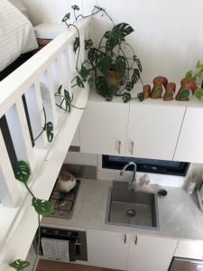 NethercoteTiny Nerak的楼梯上的厨房设有水槽和盆栽植物