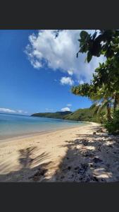 Naviti IslandWai Makare Homestay的一片拥有树木的海滩,海洋和天空