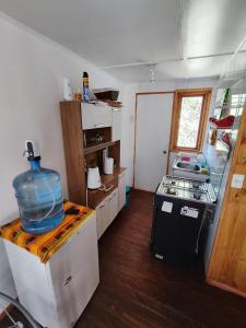 圣佩德罗·德·阿塔卡马CABAÑA SAN PEDRINA的小厨房,冰箱上放鱼碗