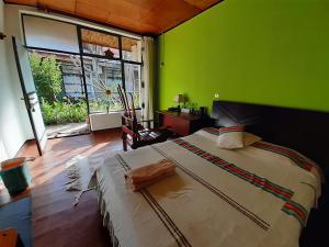 贡德尔Lodge Du Chateau的一间卧室设有一张大床和绿色的墙壁