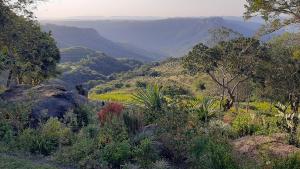 GlendaleOribi Gorge Villa的享有山谷和树木的景色