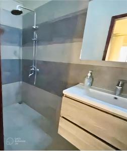 塔马兰Beachfront Villa by M&H的一间带水槽和淋浴的浴室