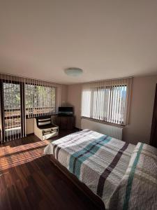 阿普里尔齐Къща за гости Милена的一间卧室配有一张床、一张沙发和窗户。