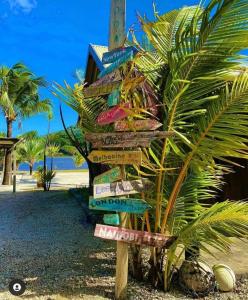 Grand SableLa Case Du Pecheur的棕榈树海滩上的方向标志