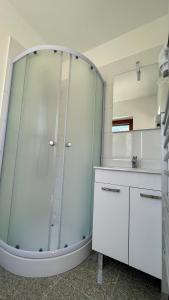 卢布尔雅那Apartments Katrca Bežigrad的浴室设有玻璃淋浴间和镜子
