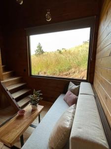 丰沙尔Mountain Eco Shelter 4的带沙发和窗户的客厅