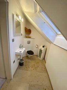 SalzwegDahoam的一间带卫生间和水槽的浴室