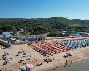 佩斯基奇Casa Vacanze Onda Azzurra (Deluxe)的海滩上一群人拿着遮阳伞