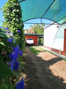 圣奥古斯汀镇Hotel Rural Luna del Valle的鲜花盛开的花园,一个停在帐篷下的汽车