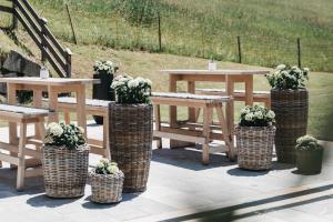 蓬高圣约翰Sonnhof Alpendorf - an adults only place的一组野餐桌和长凳,上面有盆栽植物