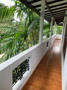 本托塔Tranquil Private Villa near Bentota Beach的棕榈树建筑的走廊