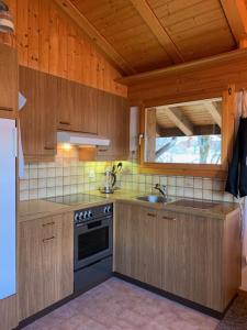 格林德尔瓦尔德Grindelwald-Sunneblick的厨房配有木制橱柜、水槽和炉灶。