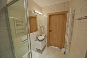 奥克宁卡Kapitanka Apartamenty的带淋浴、卫生间和盥洗盆的浴室
