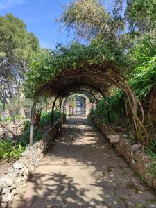 贡内萨Aragonite Azzurra Casa Vacanza的花园中一条小径上的拱门