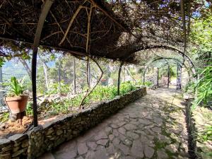 贡内萨Aragonite Azzurra Casa Vacanza的花园中带石头道的温室