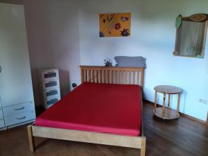 VisselhövedeFerienwohnung Bioland-Hof Wilkens的一张床上,床上有红色床垫