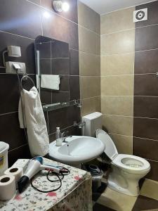新帕扎尔艾蒂尔公寓的浴室配有白色卫生间和盥洗盆。