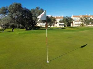 圣乔治Apartment Panoramica Golf的坐在高尔夫绿地顶上的风筝