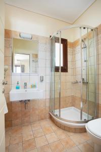 加夫里翁Aithra -Agios Petros Andros的带淋浴和盥洗盆的浴室