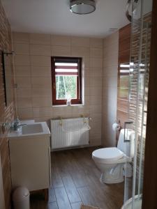 米迪格兹Nad Wilczym Potokiem的一间带卫生间、水槽和窗户的浴室
