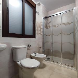 埃斯帕尔蒂纳斯HOTEL NUEVO ESPARTINAS的一间带卫生间和淋浴的浴室