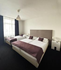 布拉格阿波隆酒店的酒店客房设有两张床和窗户。