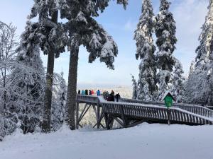 弗罗伊登施塔特Bergstern的几棵树旁的雪覆盖着长凳